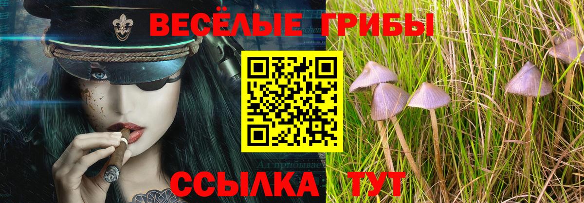 Псилоцибиновые грибы мицелий  Псилоцибиновые грибы прущие грибы  Вход с VPN  Удомля 